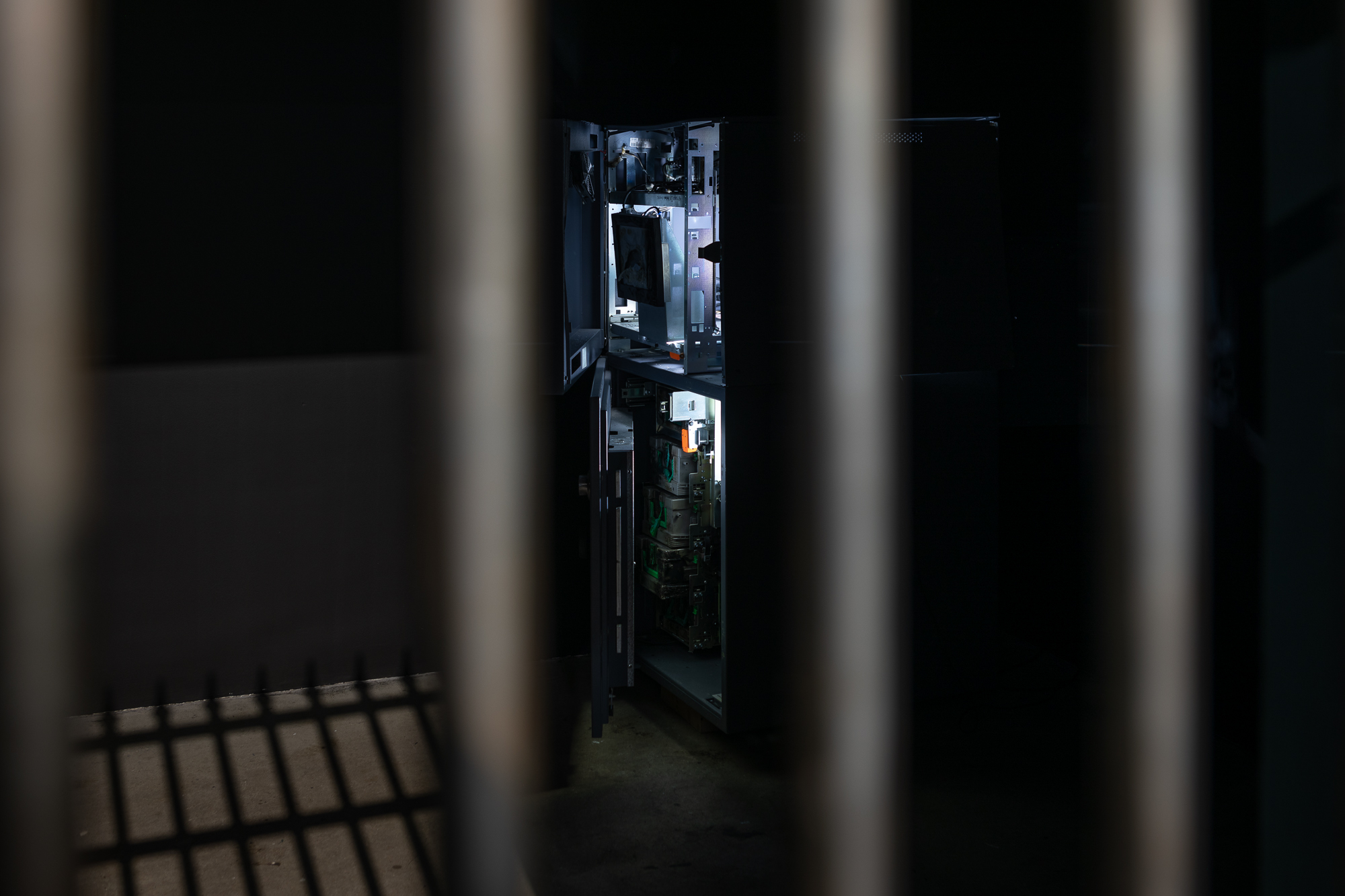 Jill Mulleady: Fight-or-Flight at Swiss Institute