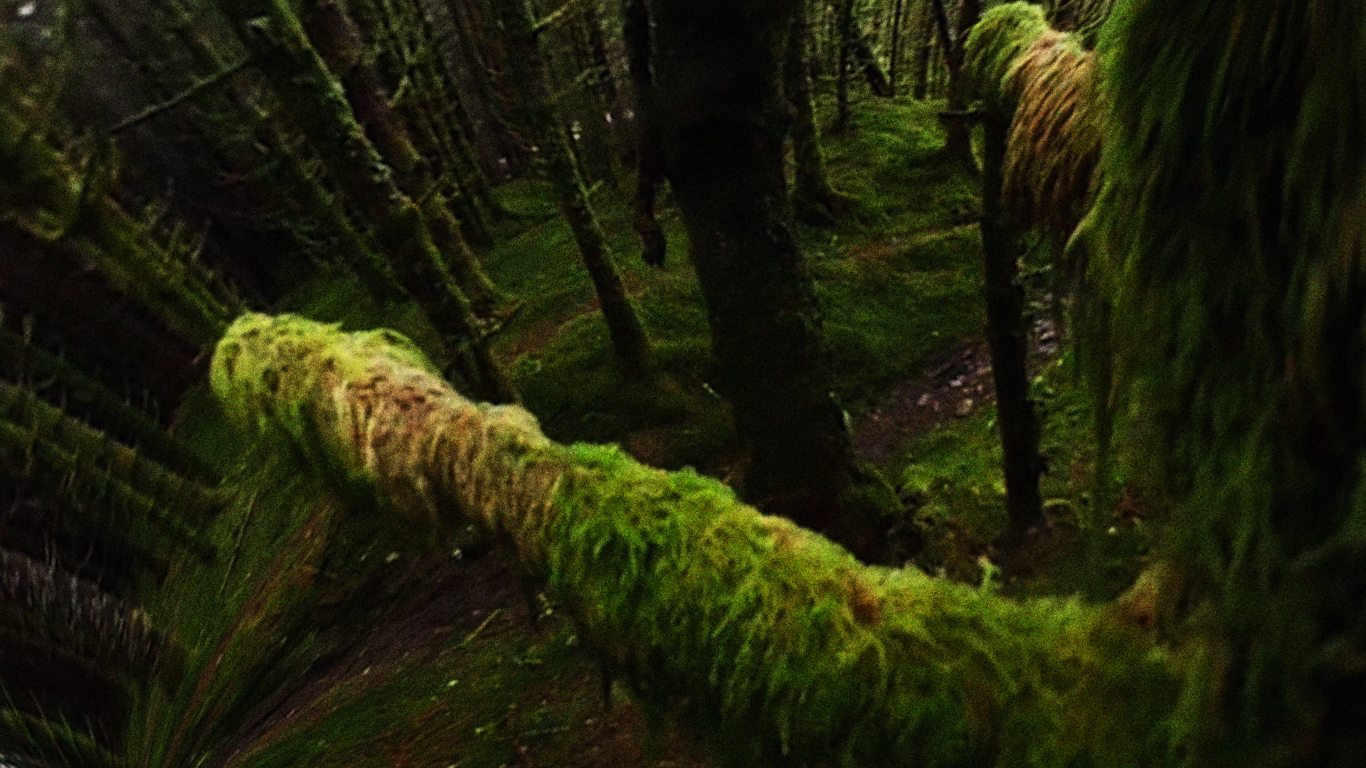 Dorota Gawęda and Eglė Kulbokaitė Mouthless, Part I, 2020 Swiss Institute Haunted Haus