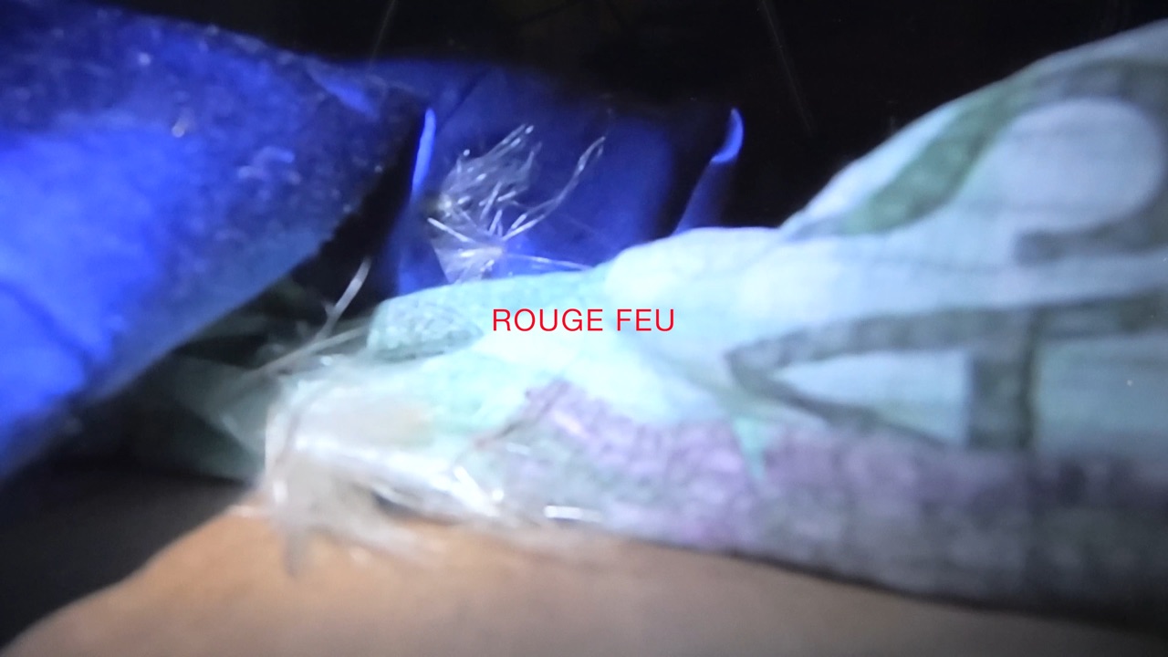 Milena Langer Mess Haunted Haus Swiss Institute