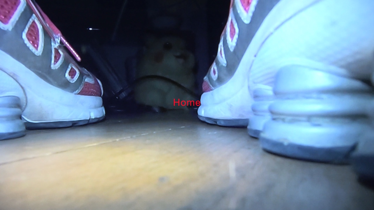 Milena Langer Mess Swiss Institute Haunted Haus