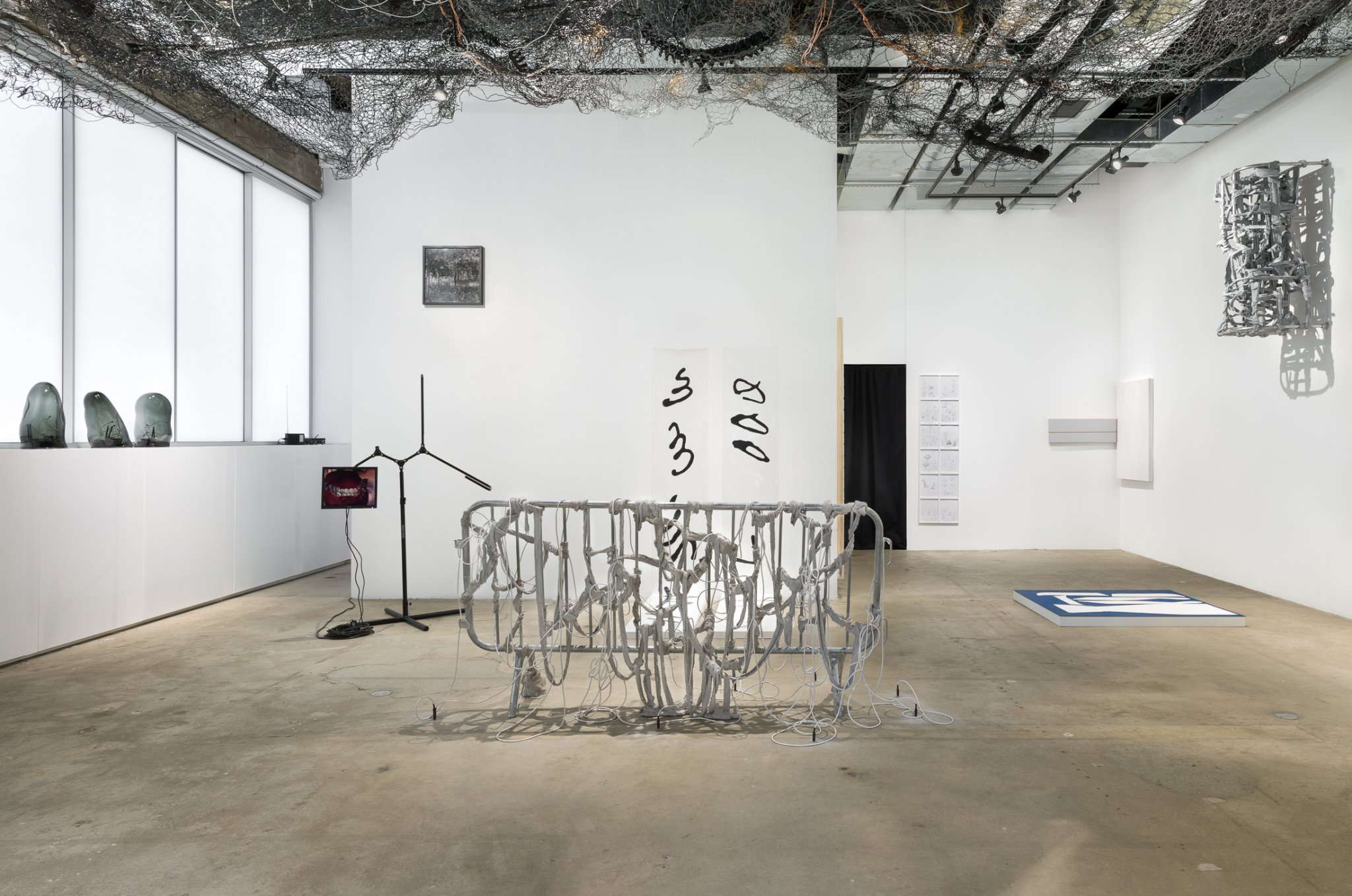 Swiss Institute Beneath Tongues Sable Elyse Smith Daniel Merritt